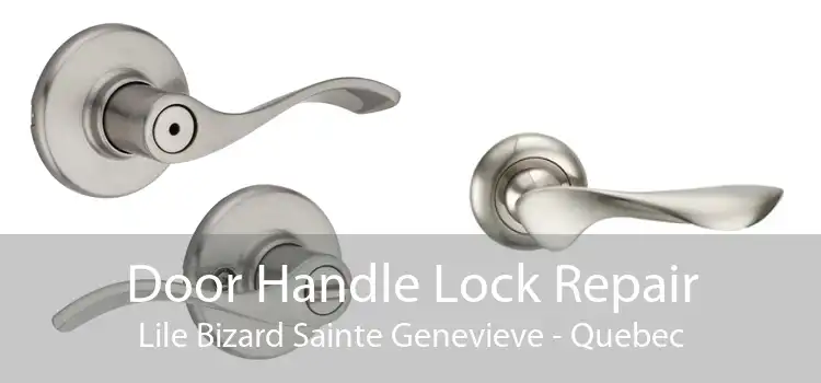 Door Handle Lock Repair Lile Bizard Sainte Genevieve - Quebec
