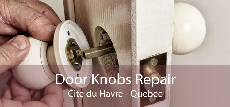 Door Knobs Repair Cite du Havre - Quebec