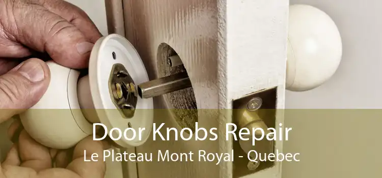 Door Knobs Repair Le Plateau Mont Royal - Quebec