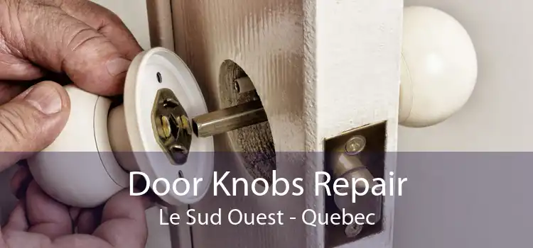 Door Knobs Repair Le Sud Ouest - Quebec