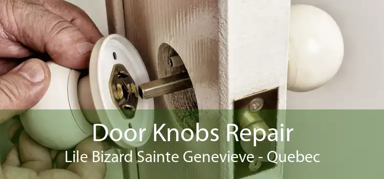 Door Knobs Repair Lile Bizard Sainte Genevieve - Quebec