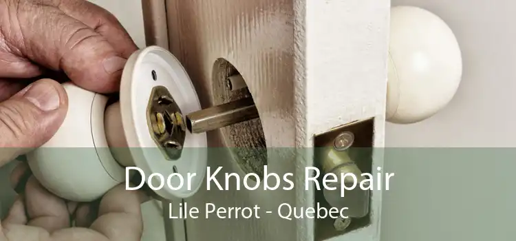 Door Knobs Repair Lile Perrot - Quebec