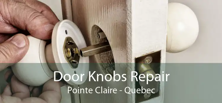 Door Knobs Repair Pointe Claire - Quebec