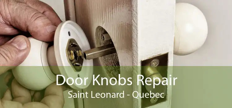Door Knobs Repair Saint Leonard - Quebec