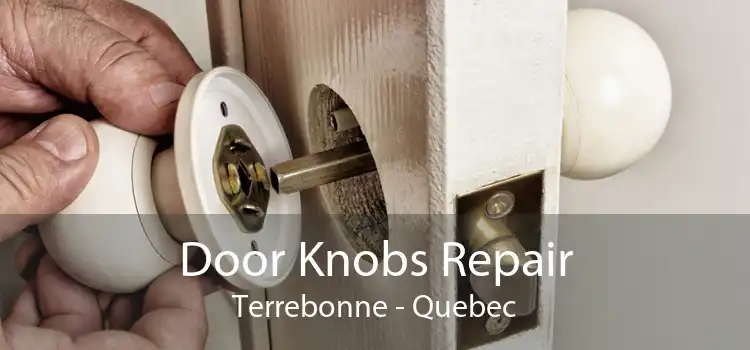Door Knobs Repair Terrebonne - Quebec