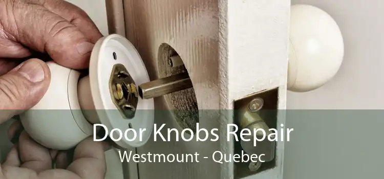 Door Knobs Repair Westmount - Quebec