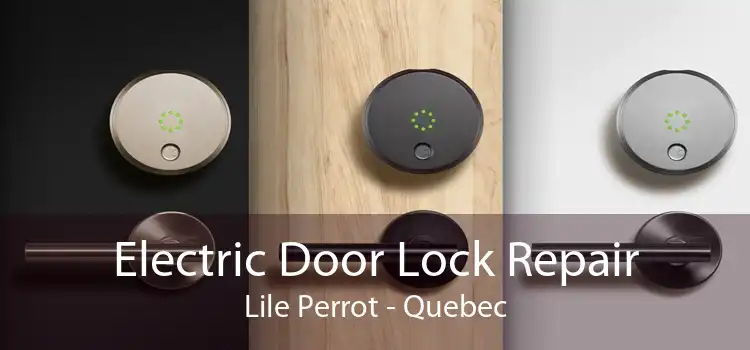 Electric Door Lock Repair Lile Perrot - Quebec