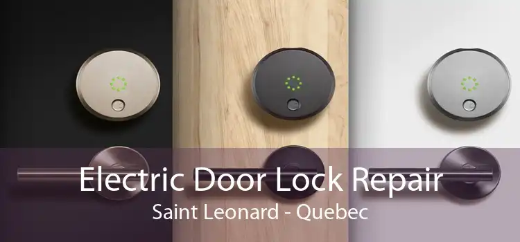 Electric Door Lock Repair Saint Leonard - Quebec