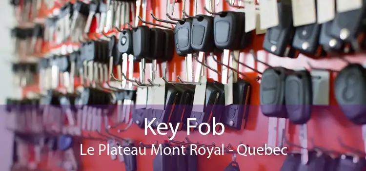 Key Fob Le Plateau Mont Royal - Quebec