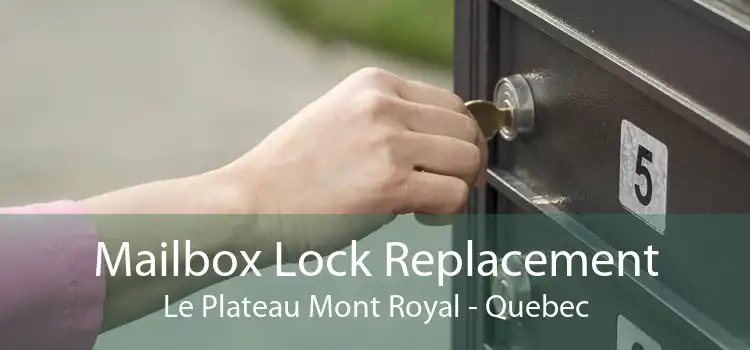 Mailbox Lock Replacement Le Plateau Mont Royal - Quebec