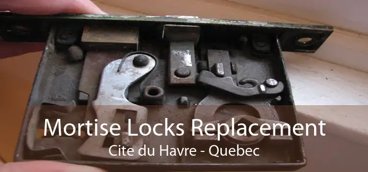 Mortise Locks Replacement Cite du Havre - Quebec