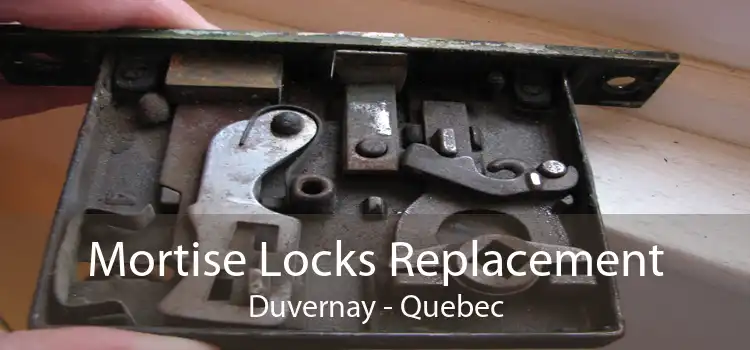 Mortise Locks Replacement Duvernay - Quebec