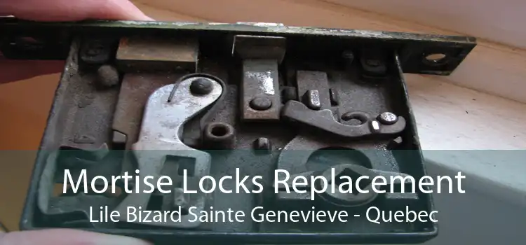 Mortise Locks Replacement Lile Bizard Sainte Genevieve - Quebec