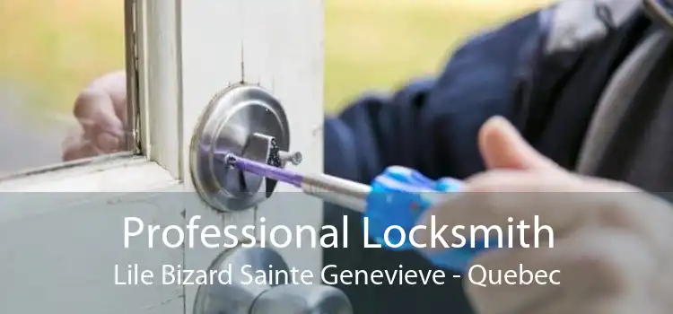 Professional Locksmith Lile Bizard Sainte Genevieve - Quebec