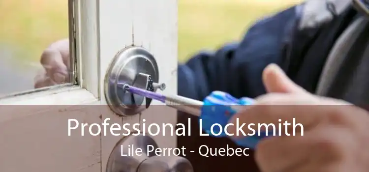 Professional Locksmith Lile Perrot - Quebec